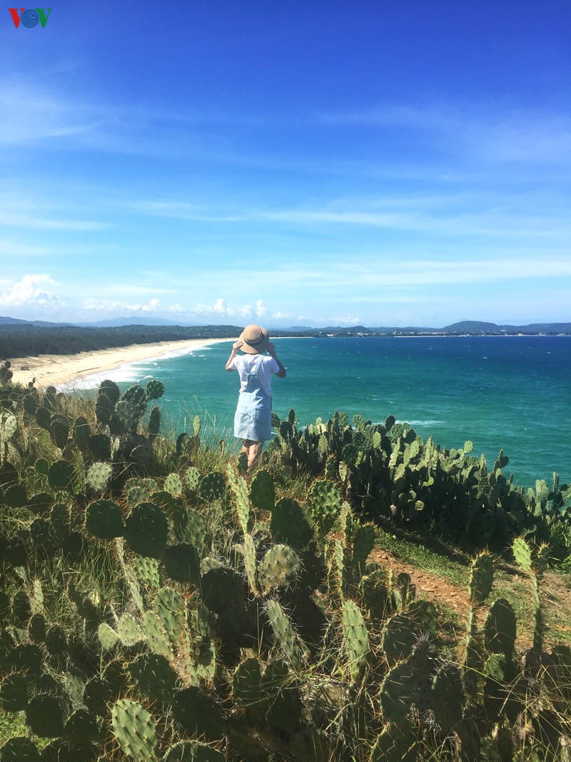 phu yen - tuyet tac ky dieu cua thien nhien hinh 3