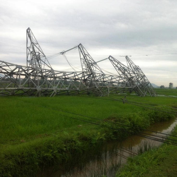 Cột dẫn dây điện bị đổ chạy qua cánh đồng thuộc địa phận xã Đồng Phúc (Yên Dũng, Bắc Giang). Ảnh: Giang Kê.