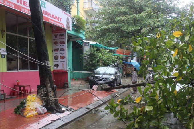 Ngành điện lực đã chủ động cắt giảm lưới điện các khu vực như thành phố Huế, thị xã Hương Thuỷ và Hương Trà, huyện Nam Đông, Phú Lộc, Phú Vang, Quảng Điền, Phong Điền, A Lưới để đảm bảo an toàn.