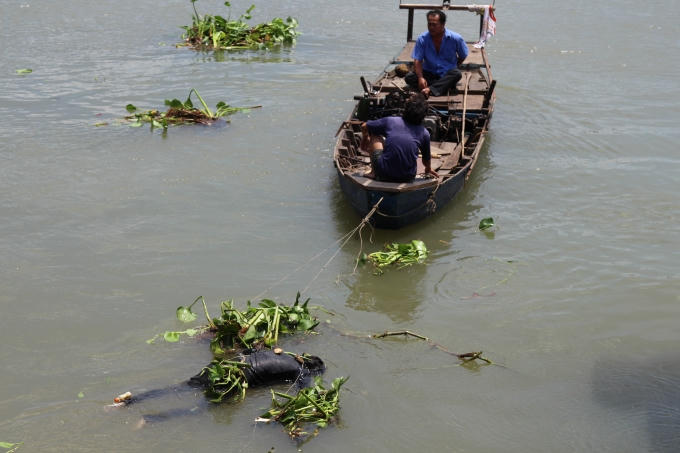 Thi thể nam thanh niên trôi sông Đồng Nai.
