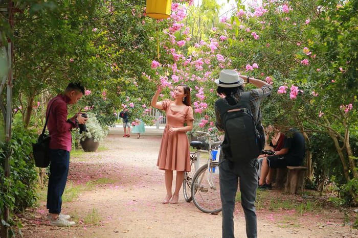 Trăm gốc tường vi đua nhau khoe sắc tại Tam Hiệp - Hà Nội - Hình 2