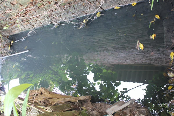 Nước thải của Công ty Giấy Lửa Việt xả ra ngoài.