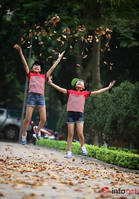Ngoài ra, tại một số góc công viên, vườn hoa, nhiều loại cây khác cũng thay lá nhưng cho màu vàng úa hơn chứ không tươi như lá sấu.