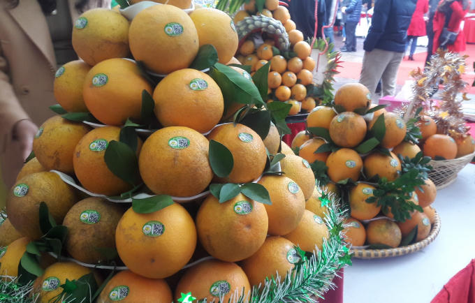 Cam Vinh được gắn tem truy xuất nguồn gốc giúp người tiêu dùng có thể nhận biết nguồn gốc khi mua sản phẩm.