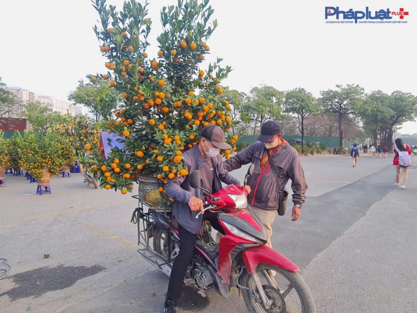 Các sản phẩm sau khi chốt giá được các chủ nhà vườn thuê xe ôm chở đến cho khách đã mua trước đó.