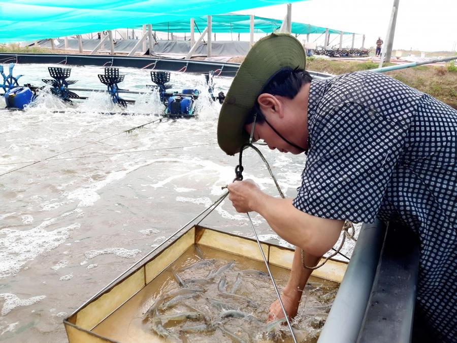 Xã Định Thành phấn đấu đến năm 2026, tổng sản lượng thủy sản đạt 25.000 tấn, trong đó tôm 20.000 tấn; mở rộng 500 ha nuôi theo chuỗi liên kết.