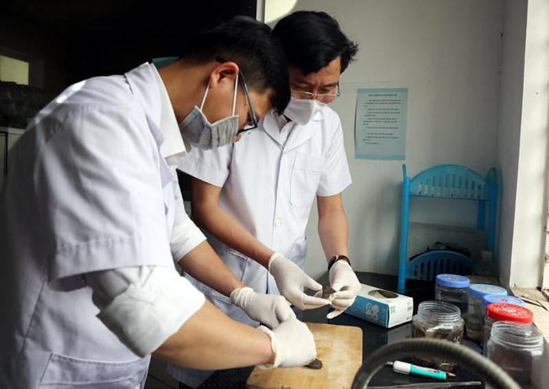Hoạt động nghiệp vụ giám định pháp y. (Ảnh minh họa)