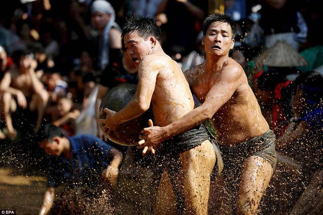 Quả cầu thường được giữ trong một gian đền và chỉ được phép lấy ra vào dịp lễ hội.