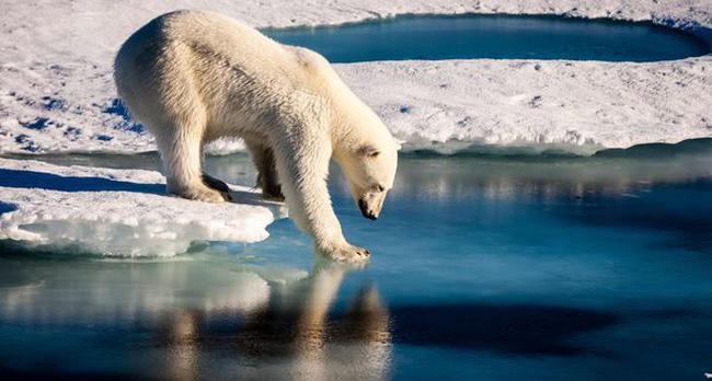 Việc Mỹ rút khỏi Hiệp định Paris có thể khiến Trái đất tiếp tục nóng lên, băng tan chảy. (Ảnh: USA Today)