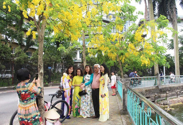 Các đoàn khách du lịch tranh thủ ghi lại kỷ niệm đẹp dưới gốc cây hoa vàng