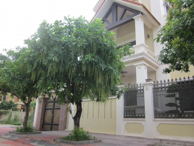 Ngôi biệt thự 3 mặt tiền này được trồng câu lộc vừng, hoa rơi đỏ vìa hè quanh nhà.