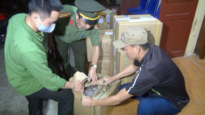 Sequence 23_Still009