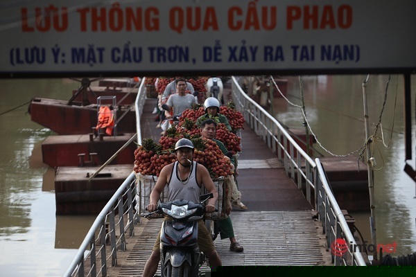 Những chuyến xe chở vải nối đuôi nhau, hầu hết các xã phía bên huyện Lục Nam đều đi qua chiếc cầu này.