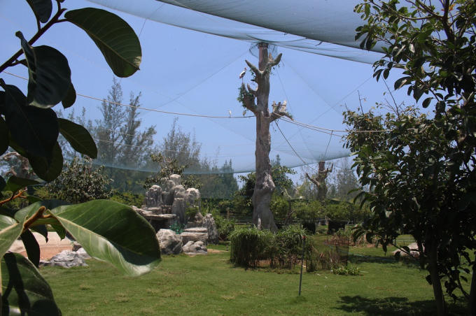 Thuộc quần thể nghỉ dưỡng FLC Quy Nhon, FLC Zoo Safari Park được xây dựng trên tổng diện tích 129,1 ha theo mô hình safari chuẩn thế giới, là nơi bảo tồn khoảng 900 cá thể động vật