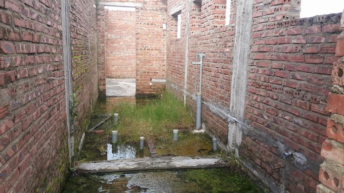 Rất lý tưởng cho nuôi cá ở đây.