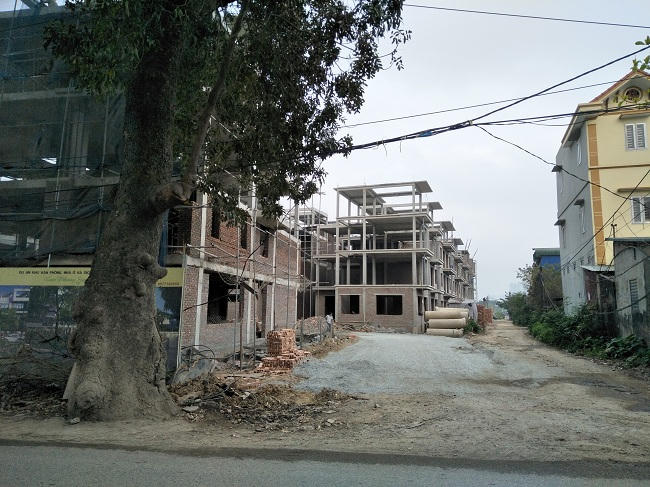 Ảnh minh họa. (Ảnh: Báo Tin tức)