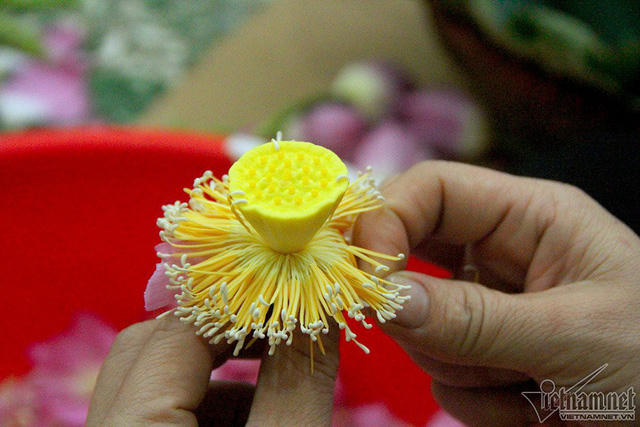 Sen được tách lấy gạo để ướp trà