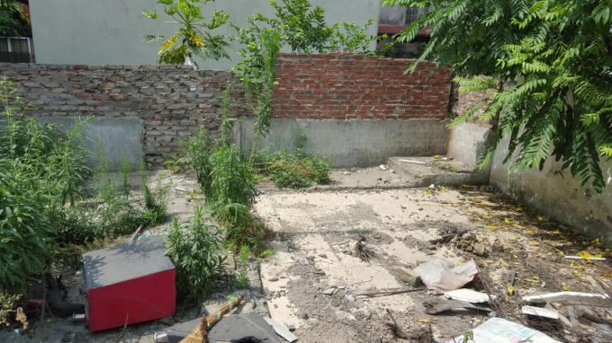 Bên trong lô đất.