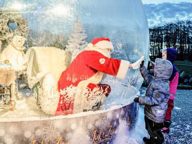 Đan Mạch: Năm nay, ở nhiều quốc gia, trẻ nhỏ không còn thú vui được ngồi trong lòng ông già Noel nữa, thay vào đó là những cái đập tay qua tấm kính chắn an toàn hay qua lớp vỏ của quả cầu tuyết.
