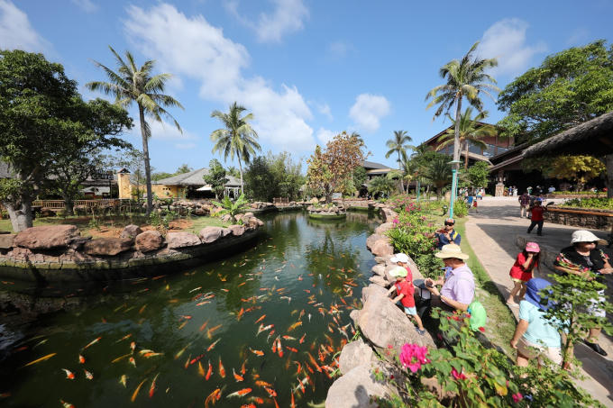 SW Hon Thom_Canh quan