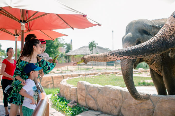 Qua đó, Đăng Khôi – Thuỷ Anh mong muốn truyền cảm hứng tới các gia đình trẻ: Du lịch để gắn kết các thành viên trong gia đình và giúp các con có thêm cơ hội hiểu biết về thế giới xung quanh. Cả hai không quên đưa ra lời khuyên bổ ích cho các gia đình trẻ đang muốn cùng nhau đi du lịch chính là thông điệp “cứ đi đi đừng ngại”.