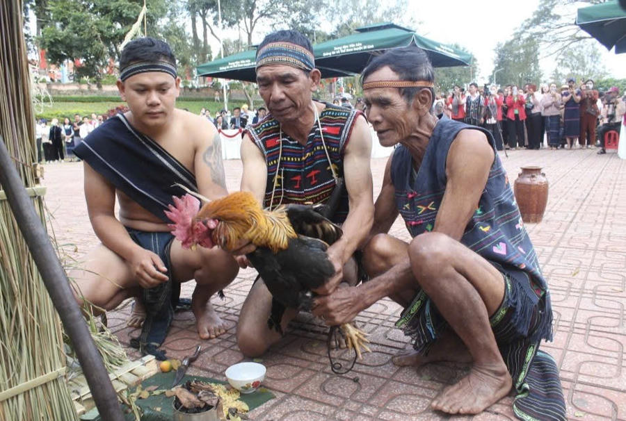 Nghệ nhân Ưu tú K'Brel (giữa) nắm giữ nhiều tri thức dân gian, thực hiện nghi thức hiến sinh. Ảnh: Báo Lâm Đồng