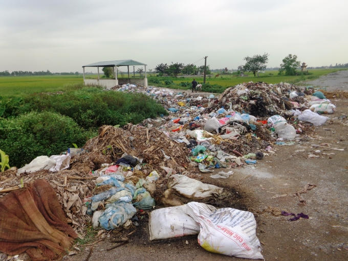 Điểm tập kết rác của xã Ngọc Lũ, rác thải cùng xác lợn chết vứt thành từng đống bốc mùi khó chịu.