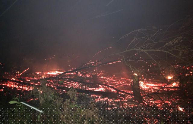 Hậu quả đã làm cháy gần 0,5ha rừng Vườn quốc gia Phú Quốc