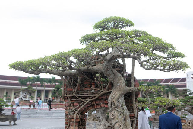 Cổng làng rêu phong còn mang đến hoài niệm, khiến những người xa quê thổn thức