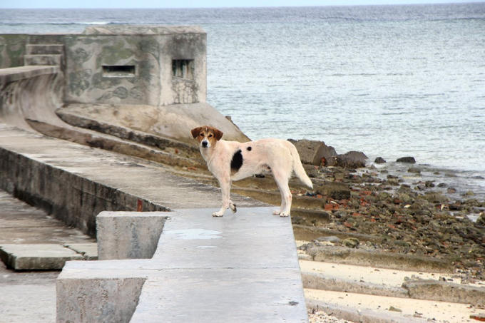 Đội đặc nhiệm đêm tỉnh hơn ngày ở Trường Sa