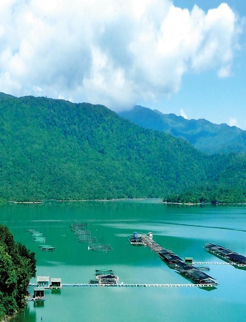 Vẻ thanh bình của trại cá tầm trên hồ Ða Mi, thuộc địa phận huyện Tánh Linh và huyện Hàm Thuận Bắc (Bình Thuận).