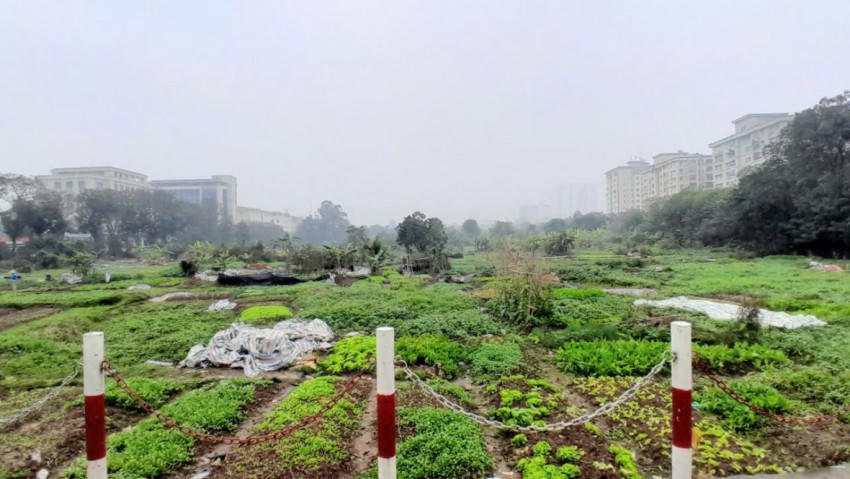 Nằm ngay cạnh trụ sở UBND quận Hoàng Mai (cũ) nay là phường Hoàng Mai, Hà Nội nhưng nhiều diện tích đất tại Dự án Khu chức năng đô thị Trũng Kênh lại đạng bị bỏ hoang, cỏ mọc um tùm, người dân tận dụng để trồng rau.
