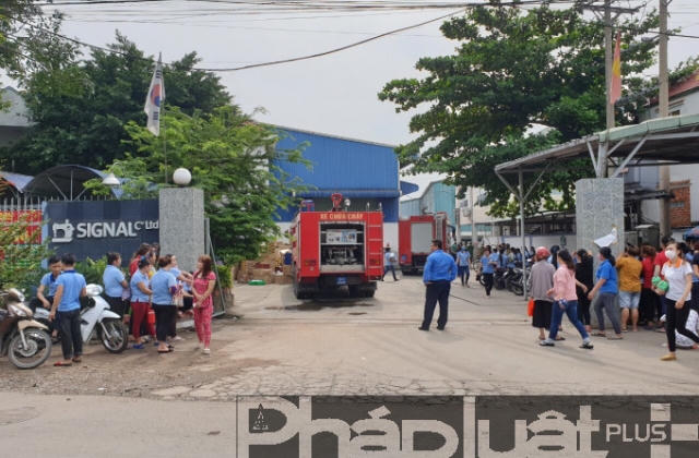 Bình Dương: Cháy công ty chuyên sản xuất giày dép