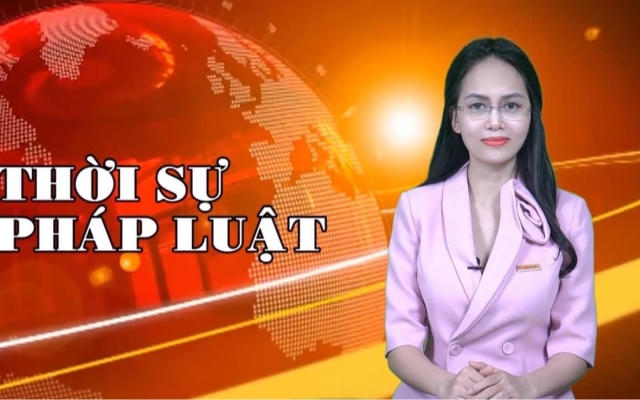 Bản tin Thời sự Pháp luật ngày 12/11/2021: Hai mốc thời gian cần biết để được nhận tiền hỗ trợ từ Quỹ bảo hiểm thất nghiệp