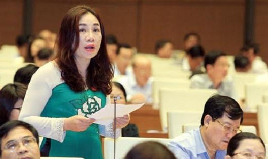 ĐB Trần Thị Hiền đề nghị “xóa bỏ khoảng trống chính sách” liên quan đến hoạt động thanh tra DN.
