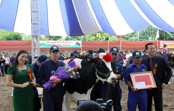Trao giải Bò được khán giả bình chọn nhiều nhất. Ảnh: Huy Pham
