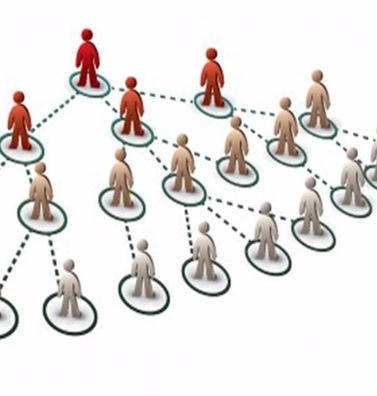 Kinh tế Plus/24h: Ngày vui cho vàng và xăng