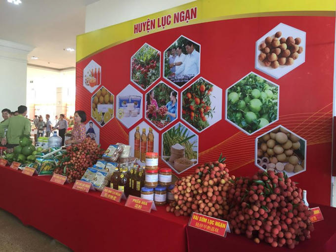 Vài sớm Lục Ngạn cùng nhiều mặt hàng nông sản khác.