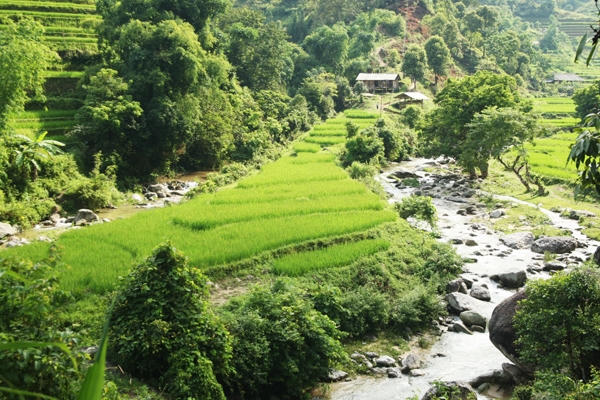 Ngoài hai mùa đổ nước và mùa lúa chín, mùa "lúa vào thì con gái" cũng là một thời điểm ruộng bậc thang trở nên đẹp mê hồn.
