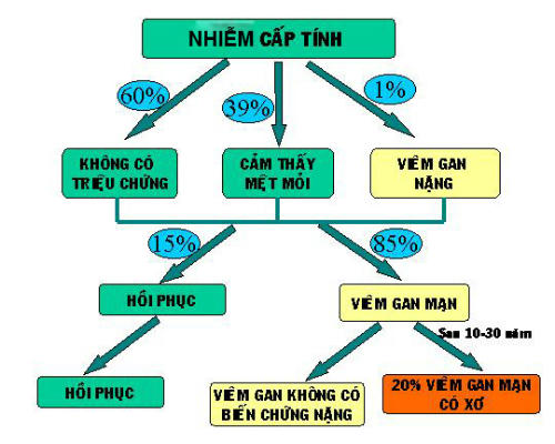 Sơ đồ nhiễm siêu vi viêm gan C.