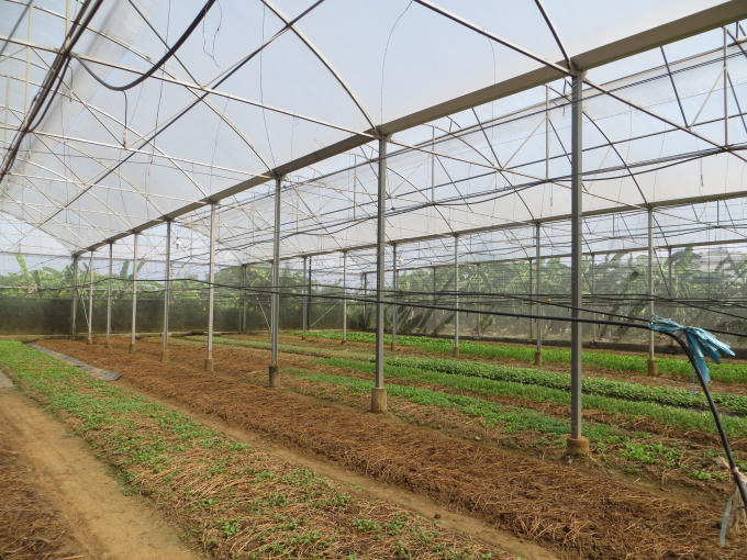 Đất được quan tâm cải tạo sau mỗi đợt thu hoạch nhằm tạo ra sản phẩm tốt nhất.