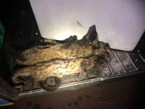 fb41f5295469bd37e478