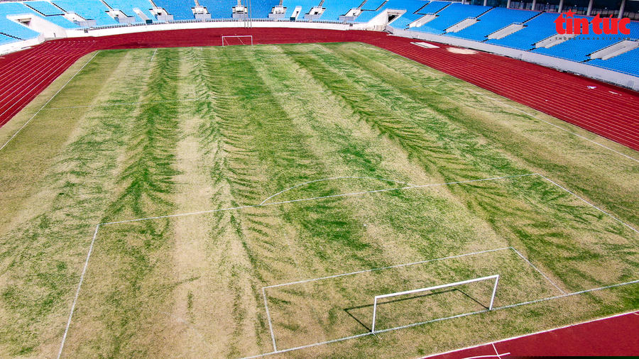 Hạng mục đầu tiên cần sửa chữa chính là mặt cỏ của sân, hiện không đảm bảo chất lượng.