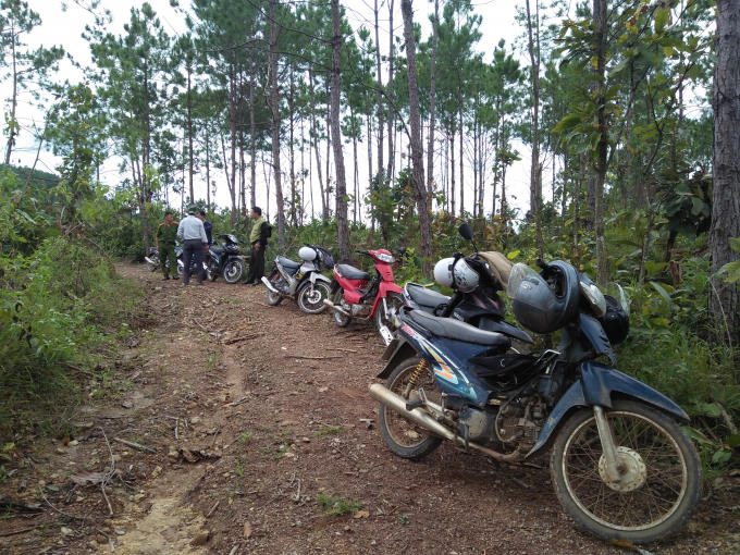 Lực lượng chức năng tiến hành kiểm tra rừng.
