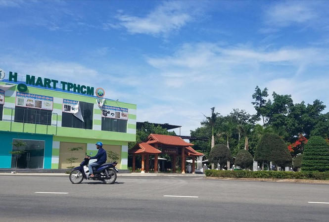 Anh19.
