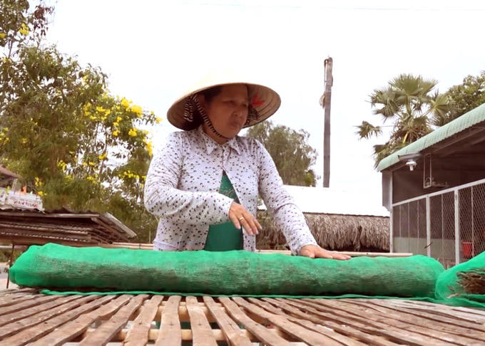 Để có được những con khô nhái ngon, đẹp mắt thì phải phơi ở nắng tốt. Ảnh: M.A.