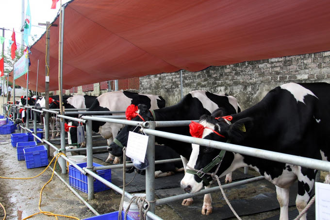 Cuộc thi hoa hậu độc nhất vô nhị ở Việt Nam