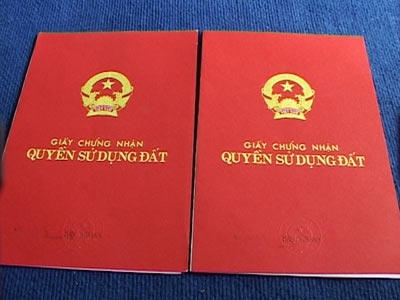 Hình minh họa.
