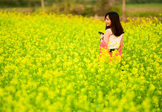Mỗi năm mùa cải chỉ có một lần và một lần chỉ kéo dài trong khoảng 20 ngày ngắn ngủi. Chính vì thế, ai cũng tranh thủ ghi lại những bức hình đẹp nhất làm kỷ niệm.