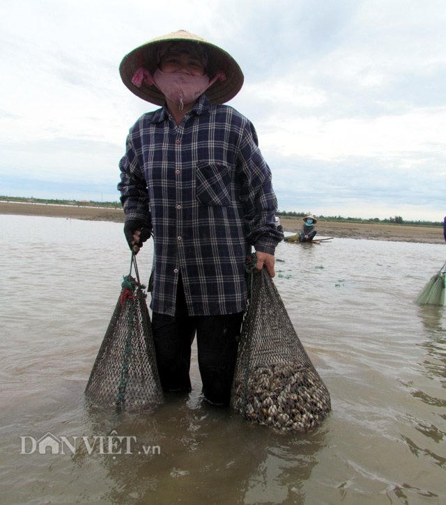 Nghêu Mai Phụ, Lộc Hà đảm bảo an toàn.